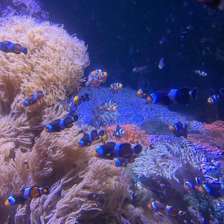 Jardin Secret Σπίτι διακοπών *